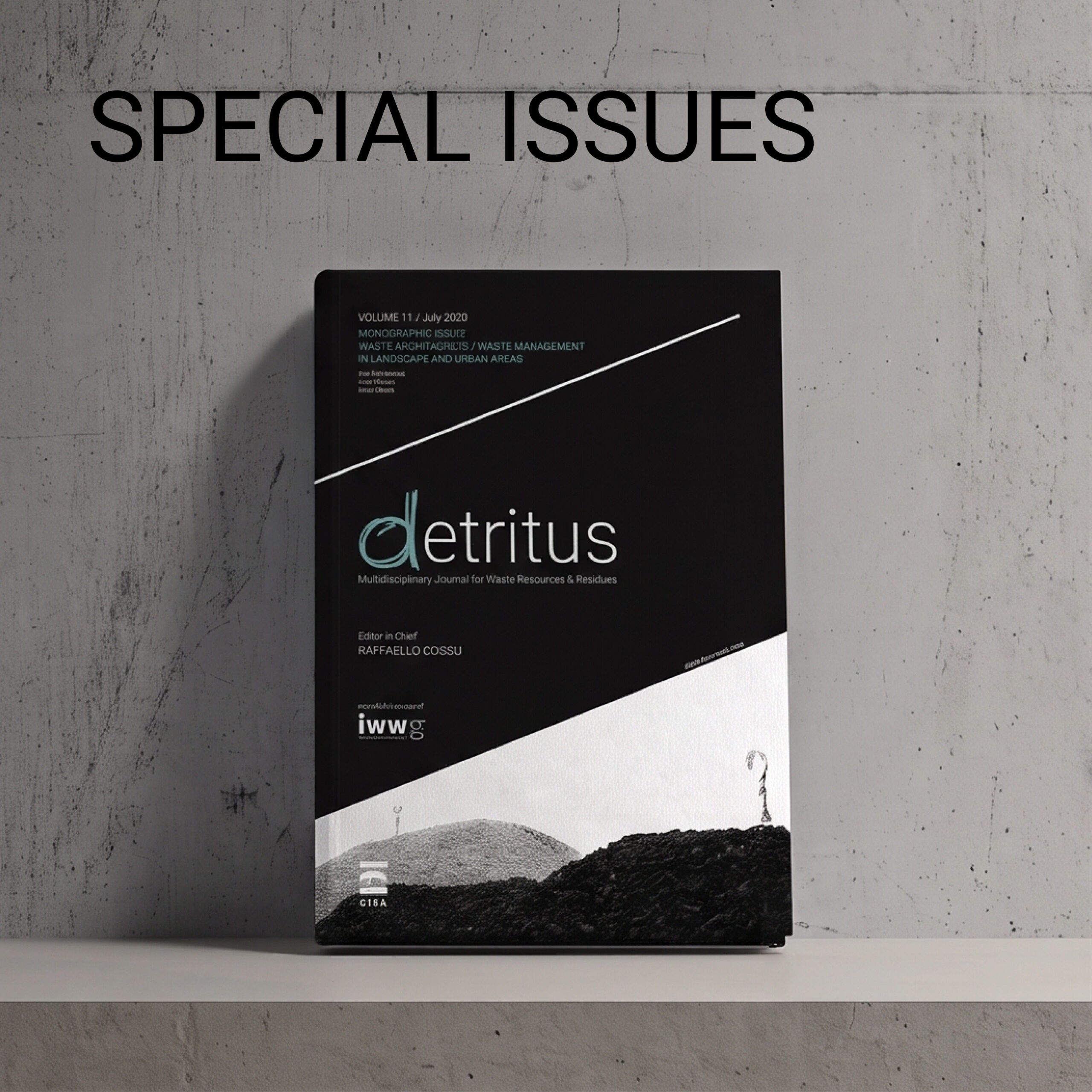 Call for special issues