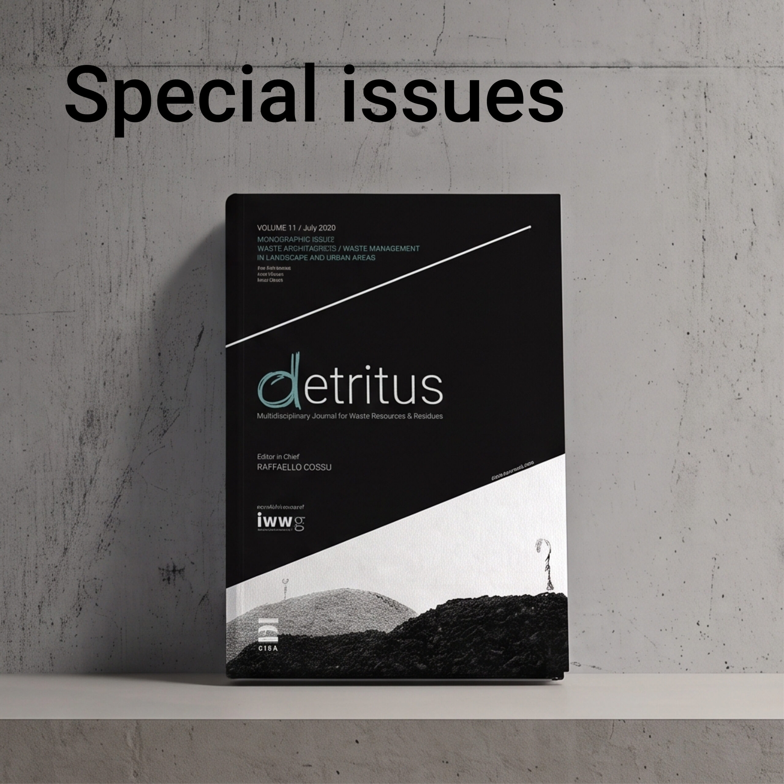 Call for special issues