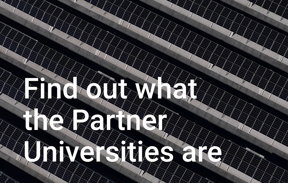 Partner Institutions piccolo